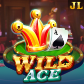 Wild Ace on 1xbet app